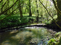 Dam on the Little Avon River