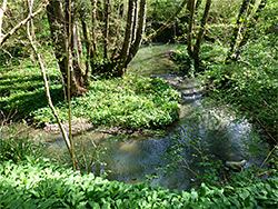 Bend on the river