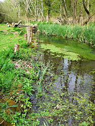 River Kennet