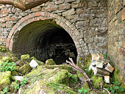 Cellar