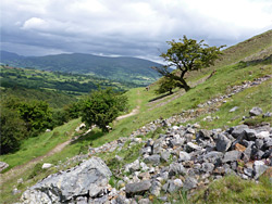 Grassy slopes