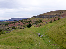 Grassy slopes