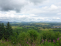 View from the access track