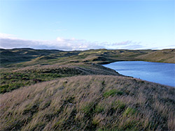 West side of Llyn Hir