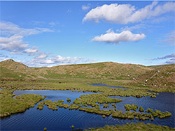 Pond southeast of Llyn Teifi
