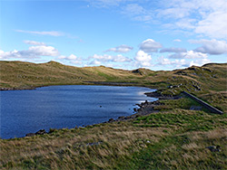 Shoreline of Llyn Teifi