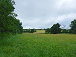 Long Dole Meadow