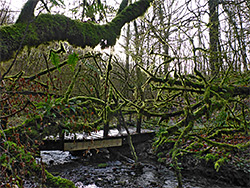 Footbridge