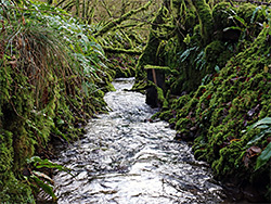 Sunken stream