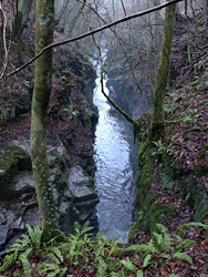 Straight section of the river