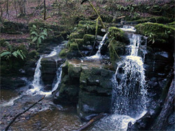 Lower Clydach Falls