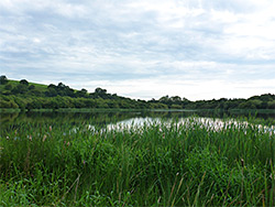 Lower Talley Lake