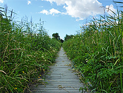 Straight boardwalk