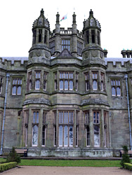 Windows of Margam Castle