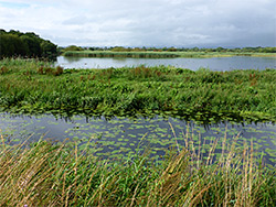Lake and ditch