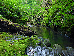 Melincourt Brook