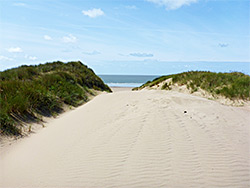 Edge of the dunes
