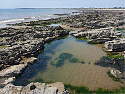 Rock pool