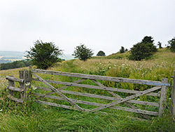 Wooden gate