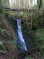 Tributary stream