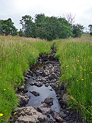 Nant Cadlan