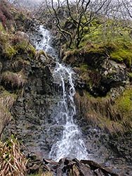 Mossy waterfall