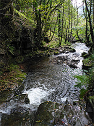 Rocks in the stream