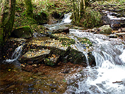 Cascade and boulders