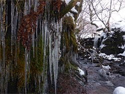 Icicles and waterfall