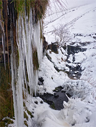Line of icicles