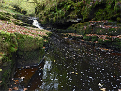 Dark-water pool