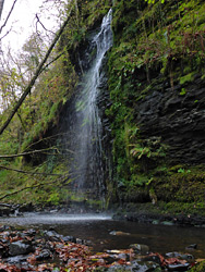 Mossy cliff