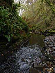 The Nant Llech