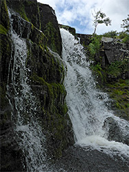 Mossy falls