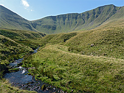 Upper end of the stream