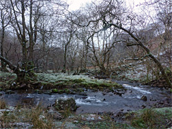 Bend along the stream