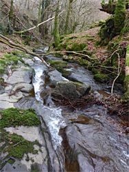 Bench by the creek