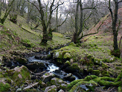 Mossy boulders