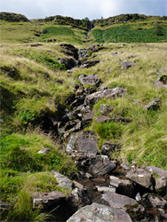 Tributary stream