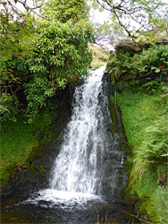 Mossy cliffs