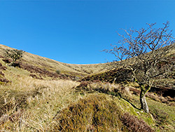 Nant y Gadair