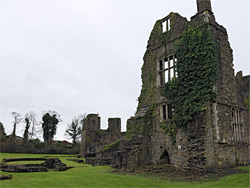 Ivy-clad walls