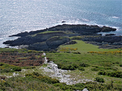 Netton Island