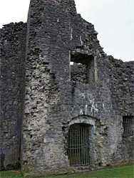 Tower door and windows