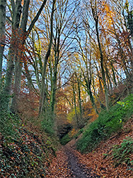 Path to Nibley Knoll