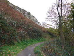 Path through woods