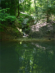 Pool in Oak Wood