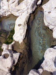 Rock pools