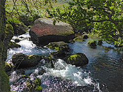 West Okement River