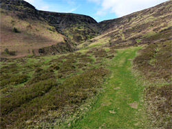 Grassy path